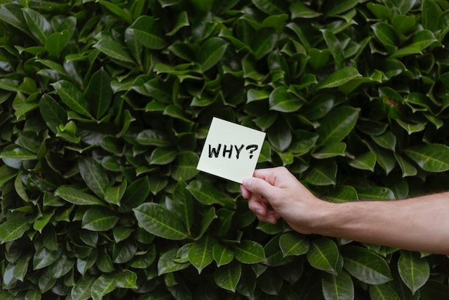 Why Is Off-Page SEO Important