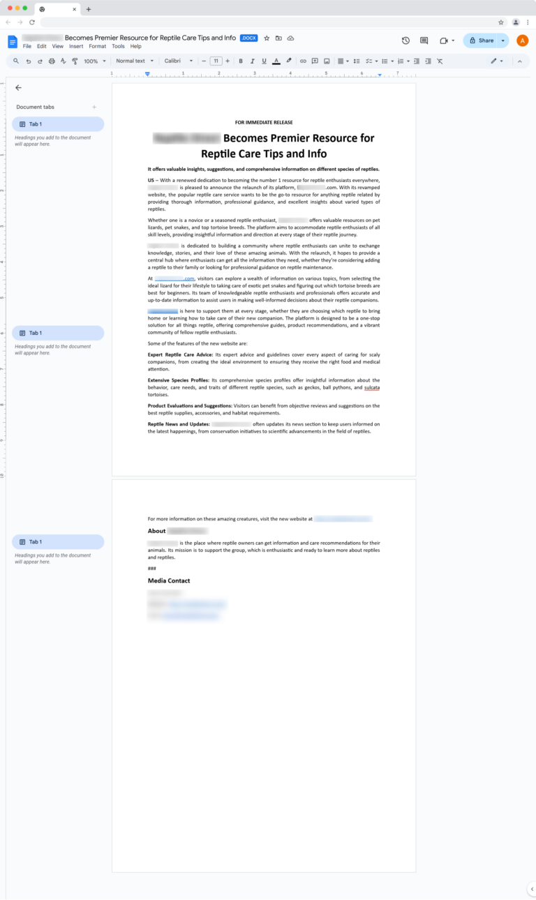Press Release Writing Sample