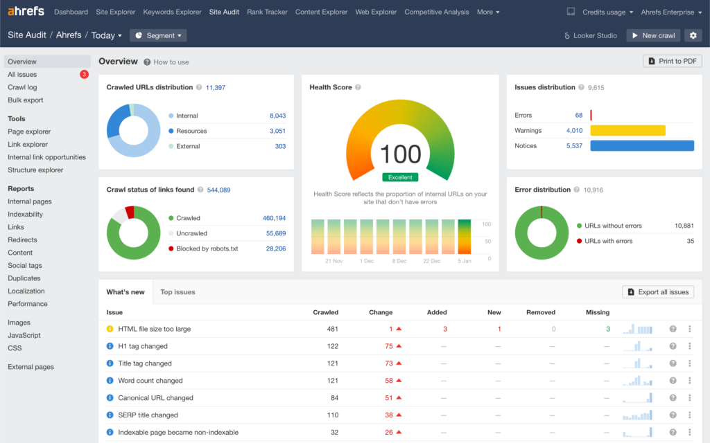 Ahrefs Site Audit Report